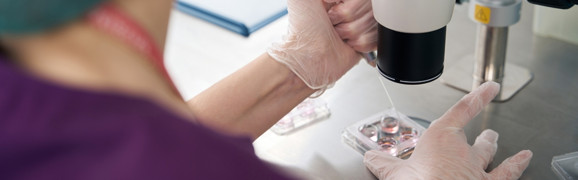 Reproduo Humana Assistida