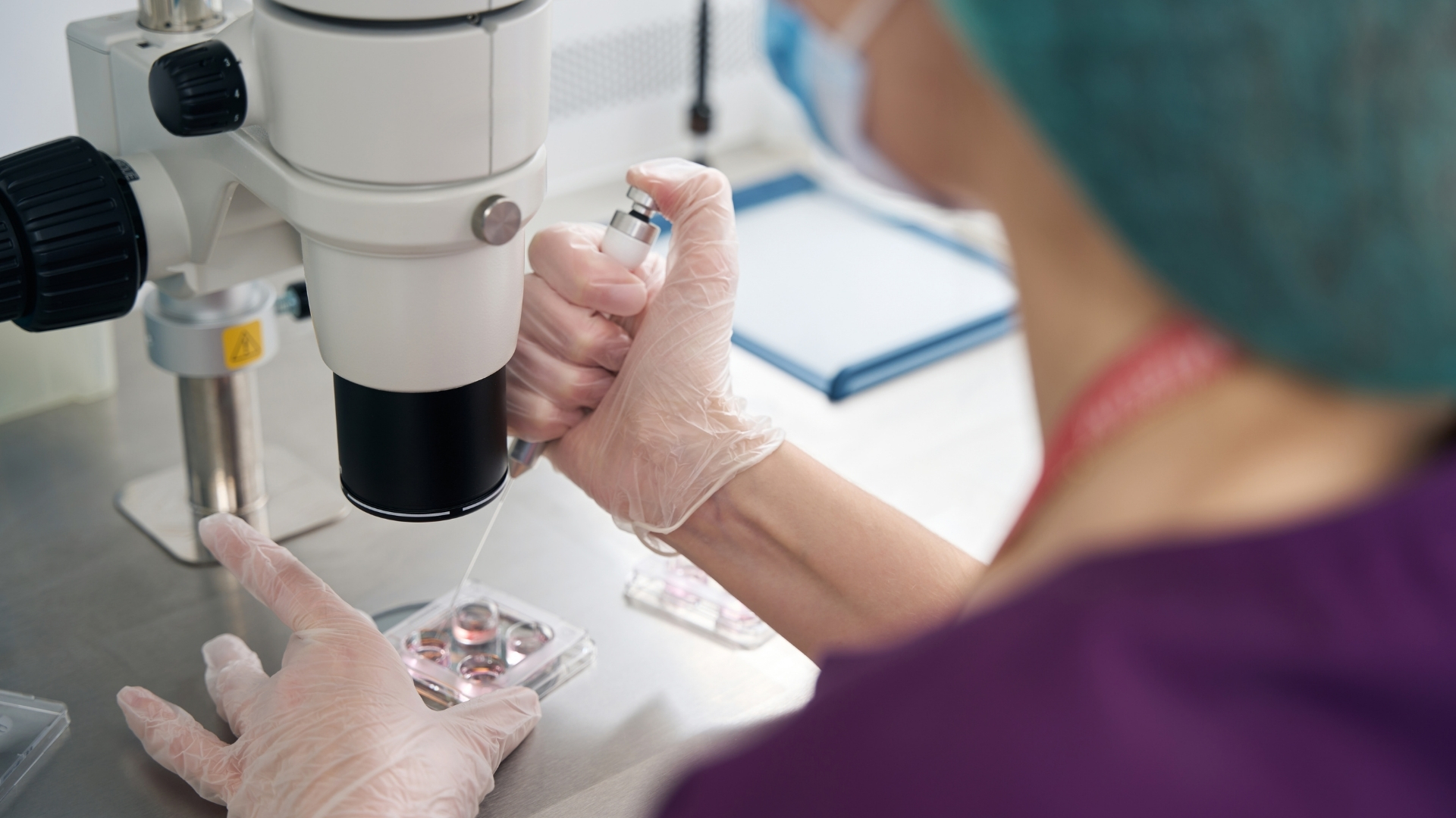 Reproduo Humana Assistida