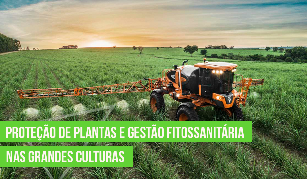 Proteo de Plantas e Gesto Fitossanitria nas Grandes Culturas
