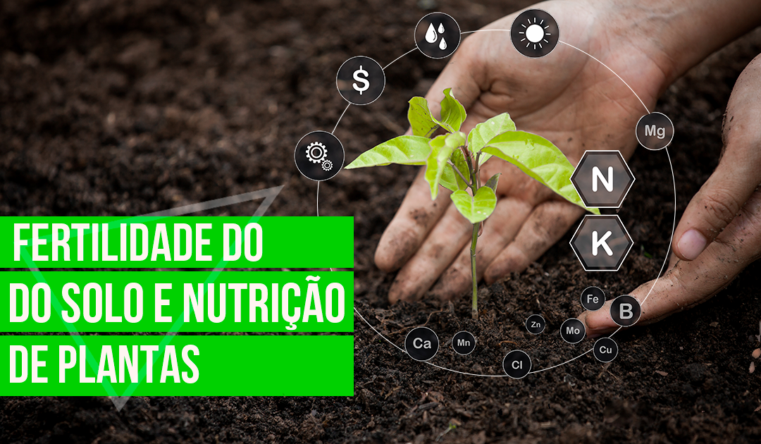 Fertilidade do Solo e Nutrio de Plantas