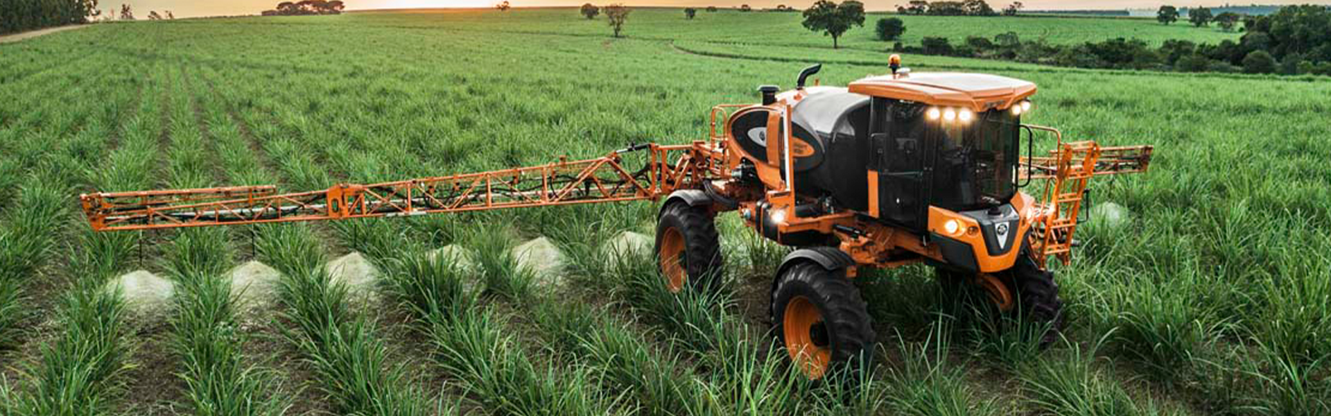 Proteo de Plantas e Gesto Fitossanitria nas Grandes Culturas