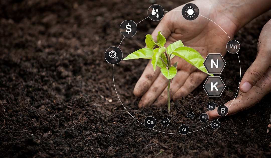 Fertilidade do Solo e Nutrio de Plantas