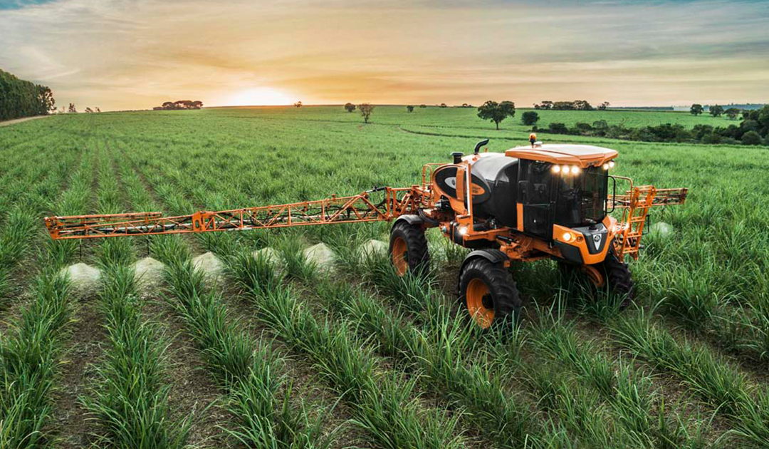 Proteo de Plantas e Gesto Fitossanitria nas Grandes Culturas